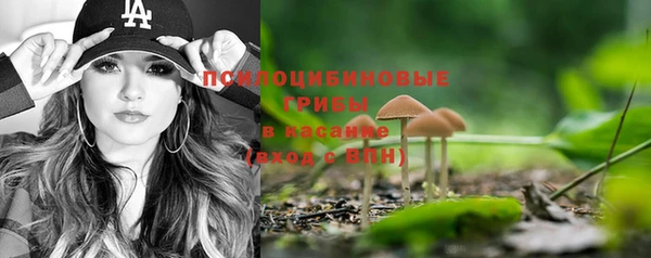 эйфоретик Киреевск
