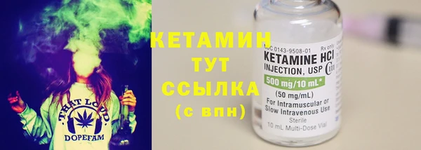амф Каменка