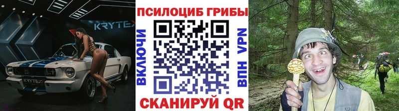 Галлюциногенные грибы GOLDEN TEACHER  продажа наркотиков  Красновишерск 